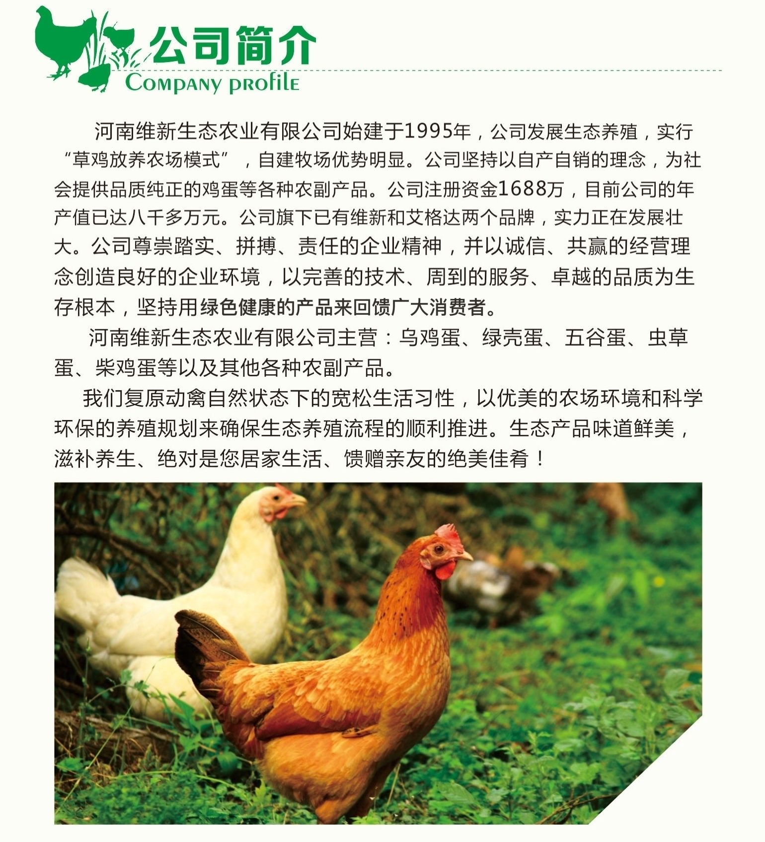 公司簡(jiǎn)介.jpg